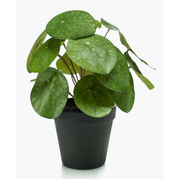 Artificial Chinese money plant SYBIL, green, 8"/20cm