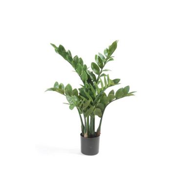 Artificial plant Zamioculcas SIMANO, 28"/70cm