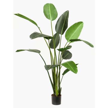 Artificial plant Strelitzia PAVLOVA, green, 8ft/230cm