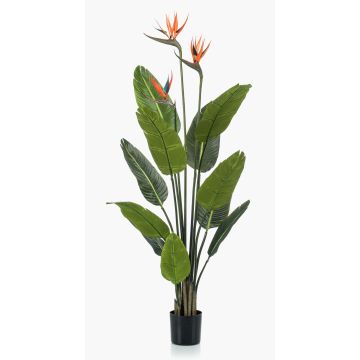 Artificial strelitzia TAPIES, orange-violet, 4ft/120cm Artificial strelitzia TAPIES, orange-violet, 4ft/120cm
