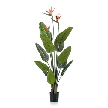 Artificial strelitzia TAPIES, orange-violet, 4ft/120cm Artificial strelitzia TAPIES, orange-violet, 4ft/120cm