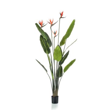 Artificial strelitzia TAPIES, orange-violet, 5ft/150cm Artificial strelitzia TAPIES, orange-violet, 5ft/150cm