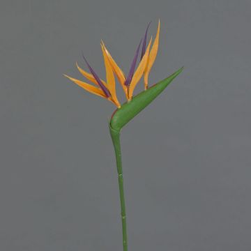 Artificial flower Strelitzia ZETKIN, orange-violet, 26"/65cm