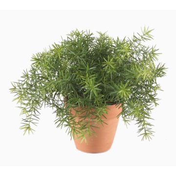 Artificial asparagus sprengeri MONET in terracotta pot, 8"/20cm