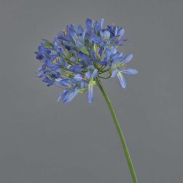 Plastic agapanthus ORNIL, blue, 3ft/90cm