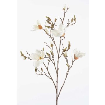 Artificial flower magnolia CAELO, cream, 3ft/105cm