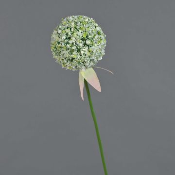 Artificial allium DURBAN, white, 28"/70cm