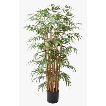 Artificial bamboo HIKITO, real stems, 5ft/145cm