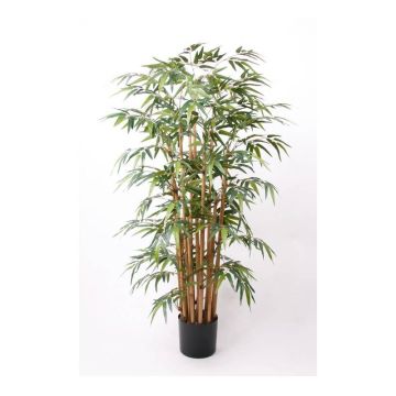 Artificial bamboo HIKITO, real stems, 5ft/145cm Artificial bamboo HIKITO, real stems, 5ft/145cm