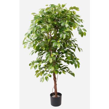 Artificial Ficus Benjamina BARTOLO, real stem, green, 5ft/140cm