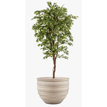 Artificial Ficus Benjamina BARTOLO, real stem, green, 7ft/200cm Artificial Ficus Benjamina BARTOLO, real stem, green, 7ft/200cm