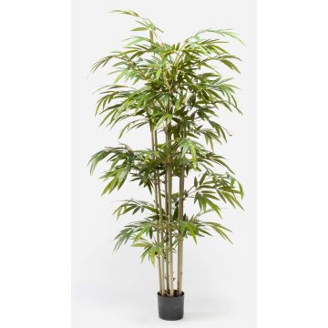 Plastic bamboo TAMANE natural stems, 6ft/180cm Plastic bamboo TAMANE natural stems, 6ft/180cm