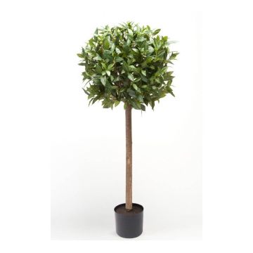 Artificial laurel ball DRODY, real stem, fruits, 3ft/90cm Artificial laurel ball DRODY, real stem, fruits, 3ft/90cm