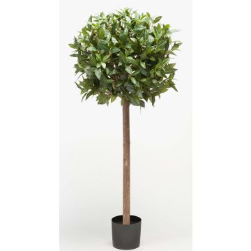 Artificial laurel ball DRODY, real stem, fruits, 4ft/120cm