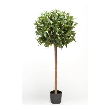 Artificial laurel ball DRODY, real stem, fruits, 4ft/120cm Artificial laurel ball DRODY, real stem, fruits, 4ft/120cm