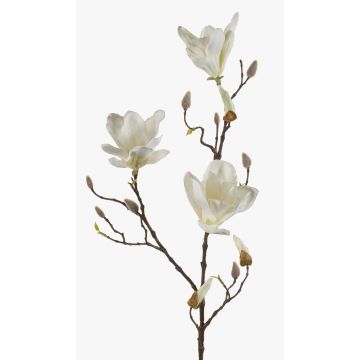 Artificial magnolia MALVAO, cream, 3ft/90cm