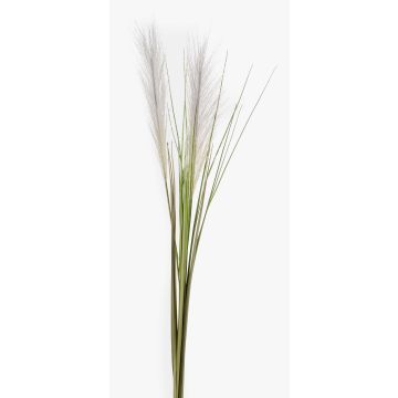 Artificial pampas grass ASES, panicles, spike, green, 3ft/95cm