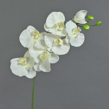 Plastic Phalaenopsis Orchid spray BASTET, white, 31"/80cm