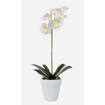 Artificial Phalaenopsis orchid ISIS, ceramic pot, white, 22"/55cm