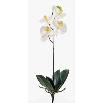 Artificial Phalaenopsis orchid ISIS, spike, white, 16"/40cm