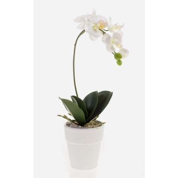 Artificial Phalaenopsis orchid ISIS, ceramic pot, white, 16"/40cm