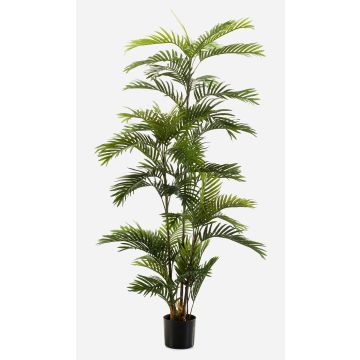 Artificial palm Areca FEDERICO, 6ft/180cm