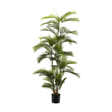 Artificial palm Areca FEDERICO, 6ft/180cm Artificial palm Areca FEDERICO, 6ft/180cm