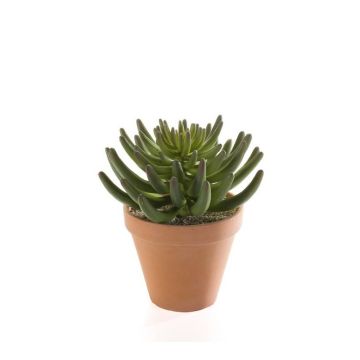 Artificial sedum rupestre EROS in clay pot, green, 7"/18cm Artificial sedum rupestre EROS in clay pot, green, 7"/18cm