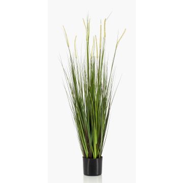 Artificial foxtail grass OTIS with panicles, green, 4ft/120cm