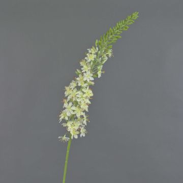 Artificial flower eremurus AOMORI, cream, 3ft/105cm Artificial flower eremurus AOMORI, cream, 3ft/105cm
