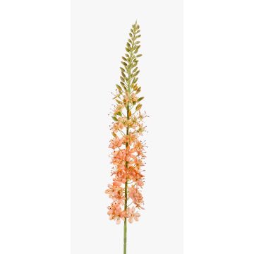 Artificial flower eremurus AOMORI, cream-light pink, 3ft/105cm