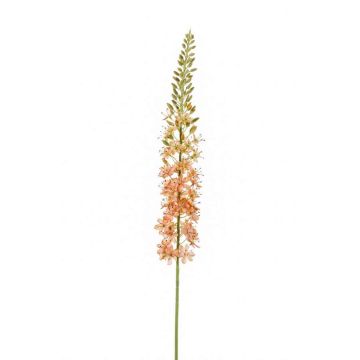 Artificial flower eremurus AOMORI, cream-light pink, 3ft/105cm Artificial flower eremurus AOMORI, cream-light pink, 3ft/105cm