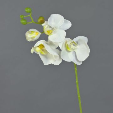 Artificial Phalaenopsis orchid spray MINA, white, 22"/55cm