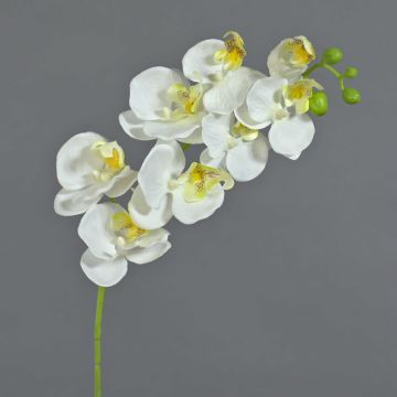 Artificial Phalaenopsis orchid spray MINA, white, 28"/70cm
