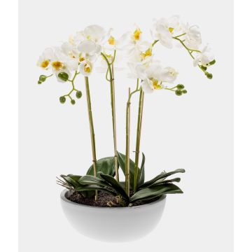 Artificial Phalaenopsis orchid MINA in ceramic pot, white, 24"/60cm