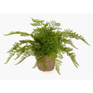 Artificial lady fern MELLEA in terracotta pot, green, 10"/25cm