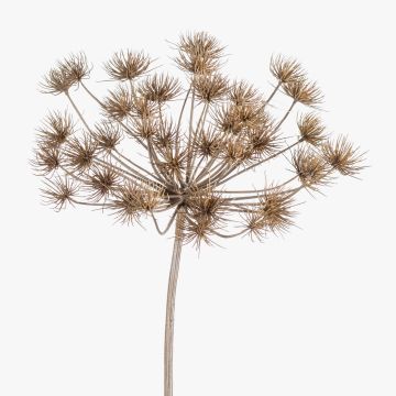 Plastic hogweed EVANDRO, grey, 4ft/125cm
