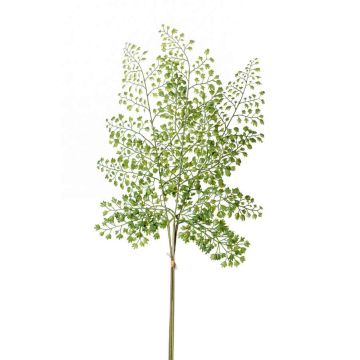 Plastic maidenhair fern spray HALIMA, green, 24"/60cm Plastic maidenhair fern spray HALIMA, green, 24"/60cm