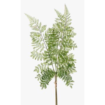 Plastic shield fern spray HALIMA, green, 24"/60cm