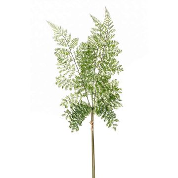 Plastic shield fern spray HALIMA, green, 24"/60cm Plastic shield fern spray HALIMA, green, 24"/60cm