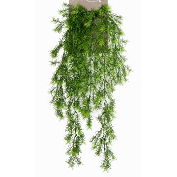 Artificial Asparagus sprengeri hanging plant COLE, spike, 30"/75cm