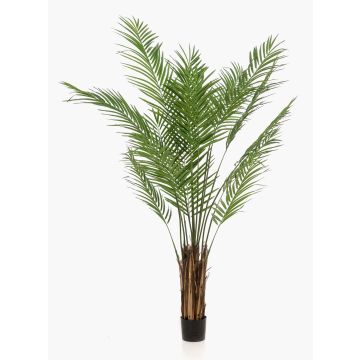 Artificial areca palm CUZCO, 6ft/180cm