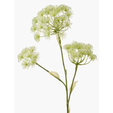 Artificial hogweed EVERALDO, white, 3ft/105cm
