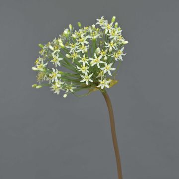 Artificial allium BRAIS, white, 3ft/90cm