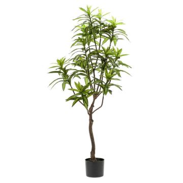 Artificial tree Dracaena OSAKA, green, 4ft/130cm Artificial tree Dracaena OSAKA, green, 4ft/130cm