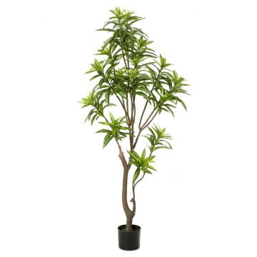 Artificial tree Dracaena OSAKA, green, 5ft/155cm Artificial tree Dracaena OSAKA, green, 5ft/155cm