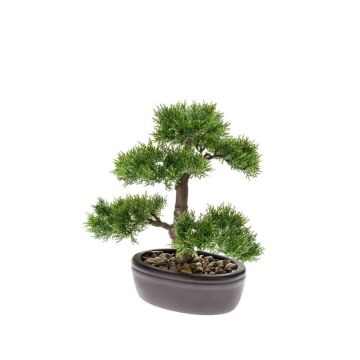 Artificial Bonsai Cedar BERTOLT in planter, 12"/30cm Artificial Bonsai Cedar BERTOLT in planter, 12"/30cm