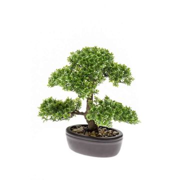Artificial Bonsai Ficus HESPER in planter, 12"/30cm Artificial Bonsai Ficus HESPER in planter, 12"/30cm