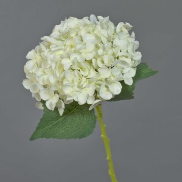 Artificial hydrangea EGIA, cream, 20"/50cm Artificial hydrangea EGIA, cream, 20"/50cm