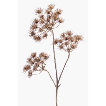 Artificial hogweed BELMIRO, brown, 3ft/100cm